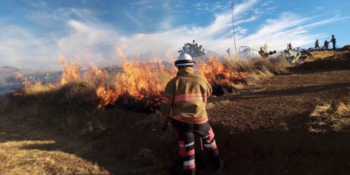 incendio-8-8d3