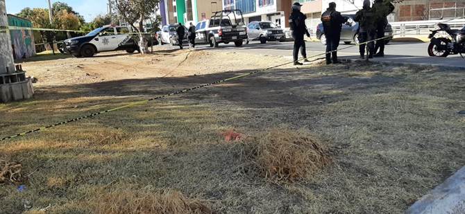 muerto avenida universidad 3