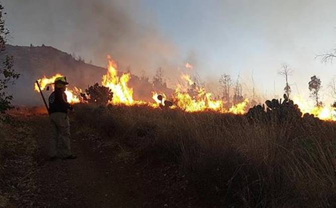 incendio cerro del padre 2
