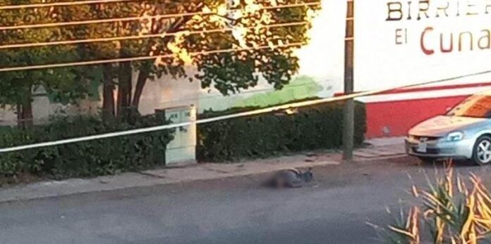 muerto-jerez-269