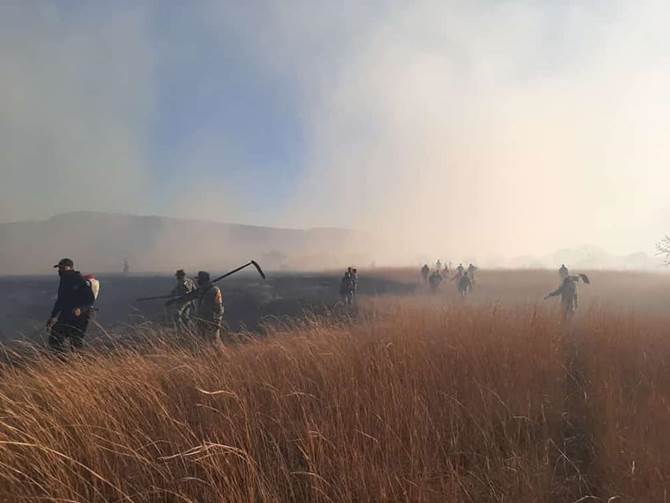incendio teul 1