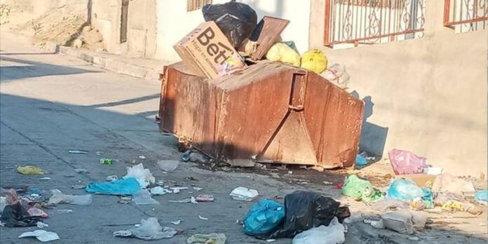 perros-callejeros-3-ab8