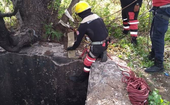 rescate perrito 1