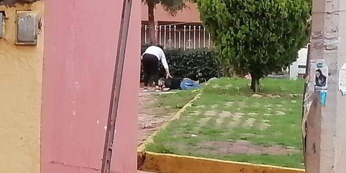 cuerpos_1-8ae