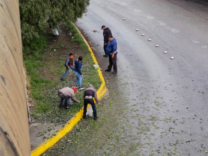trailer chile 3