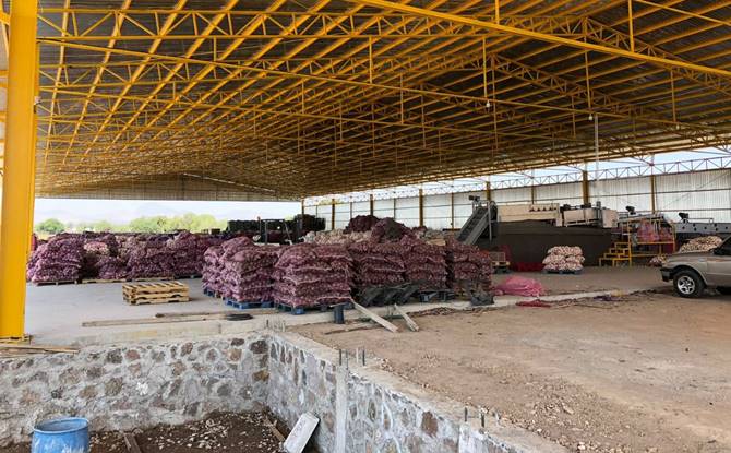 agricultura 3