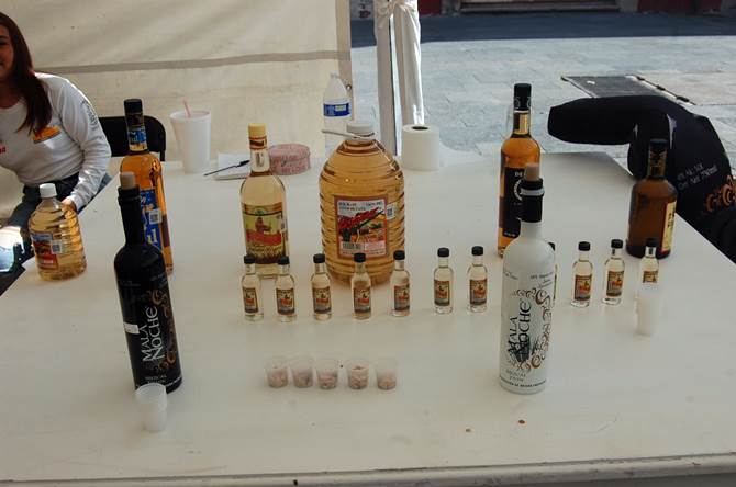 pabellon agroartesanal 2