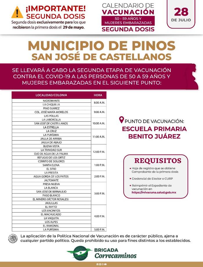 pinos 2