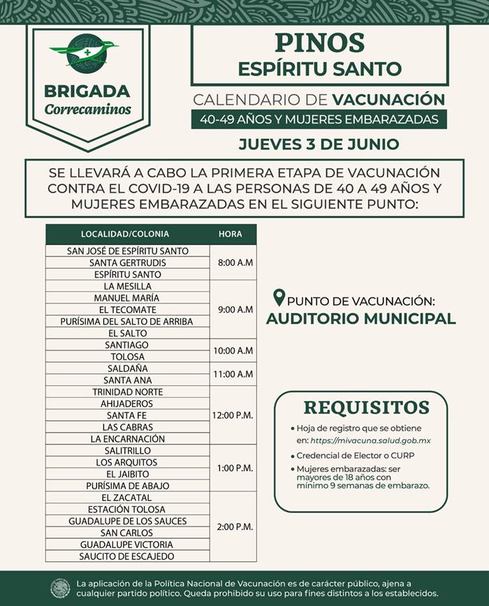 pinos 1