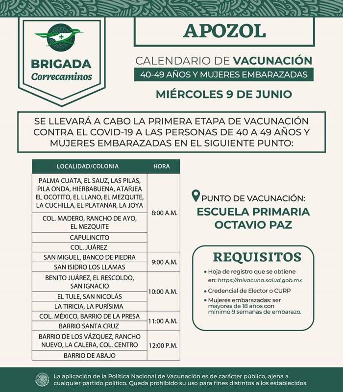 apozol