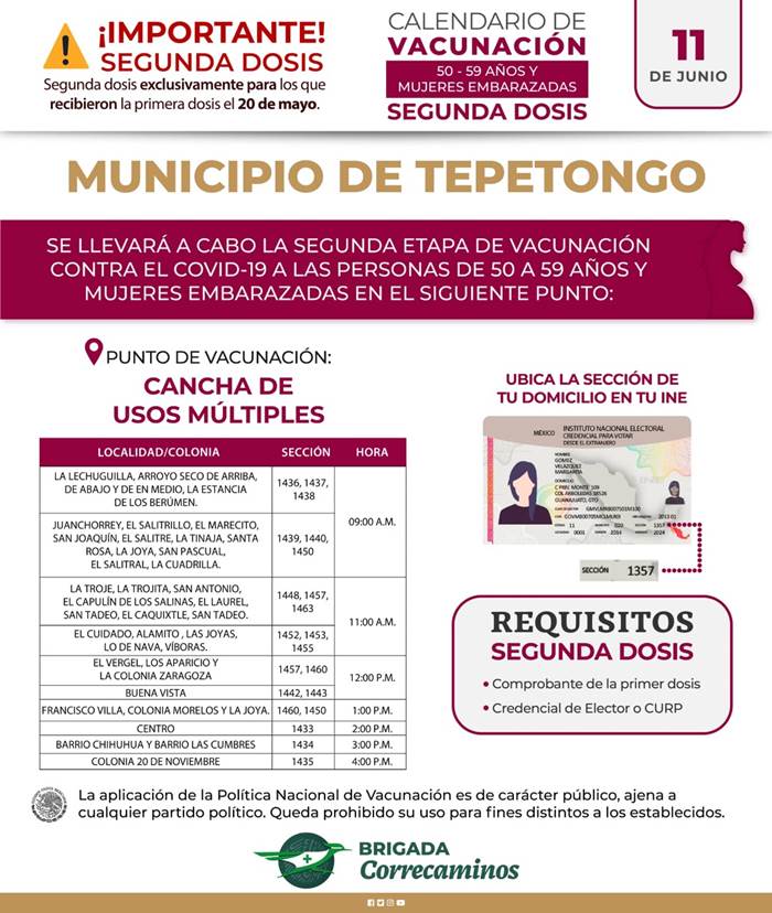 tepetongo