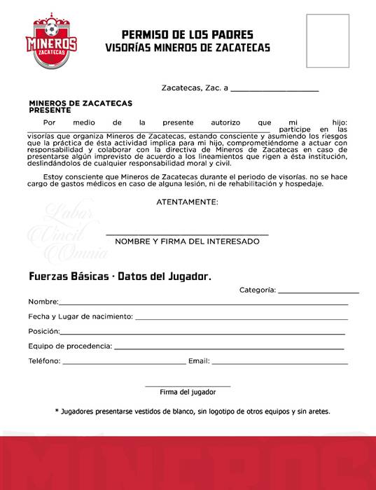 visorias 2