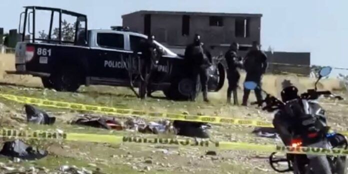 seguridad-27a