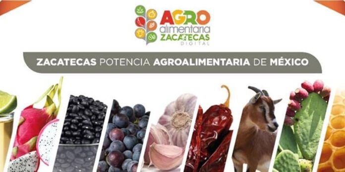 agroalimentaria-879