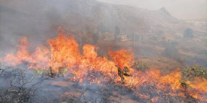incendio_bufa_2-972