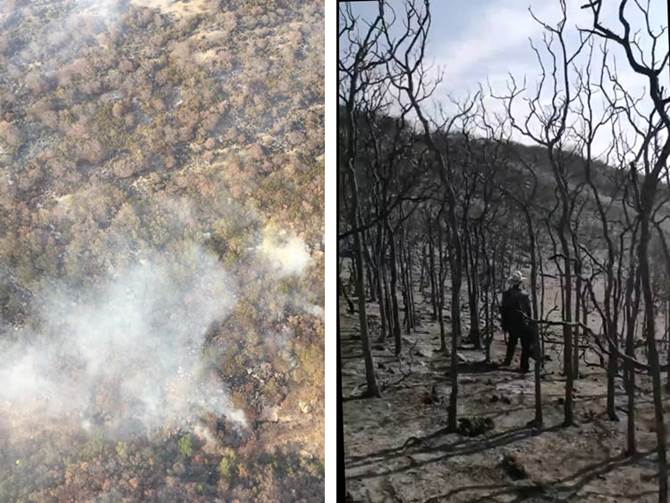 incendio sierra 5