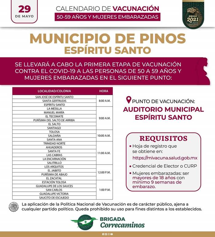 pinos 1