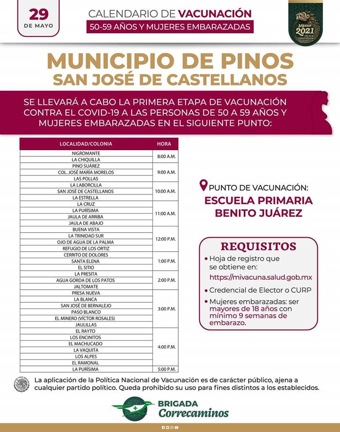 pinos 2