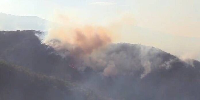 incendio_1-c80