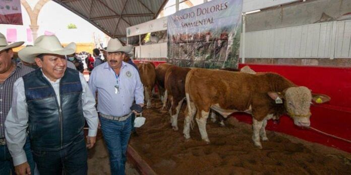expo-feria-agropecuaria-0f0