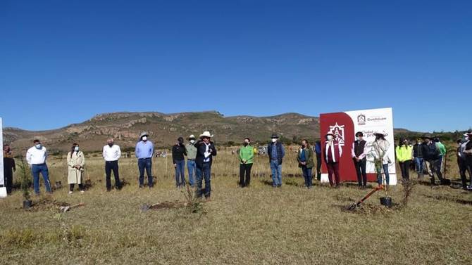 reforestacion 1