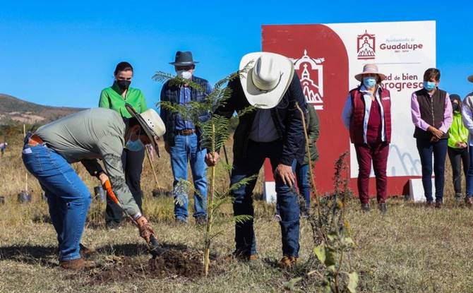 reforestacion 2