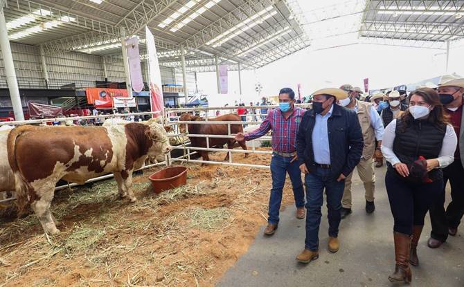 tianguis agropecuario 1