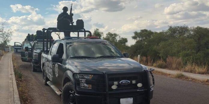 policia-63d
