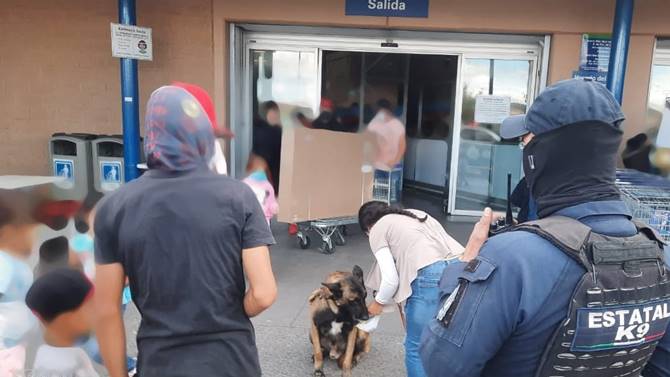 perros policia 1