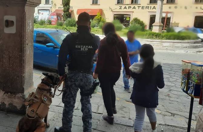 perros policia 2