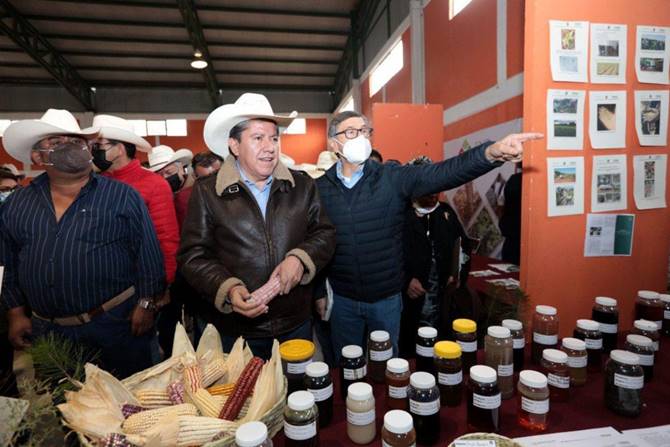 presupuesto campo 1