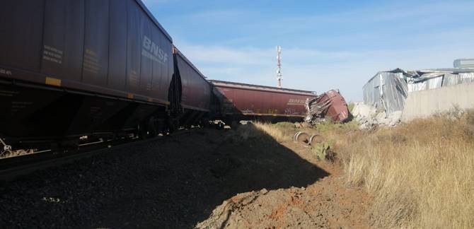 tren 6