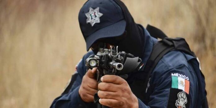 policia-d3f