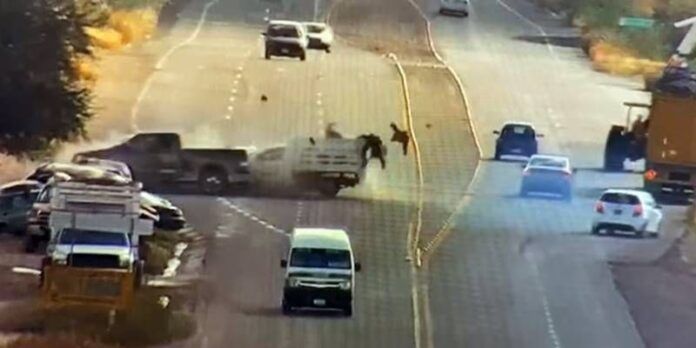 accidente_asientos_aguascalientes1-0ef