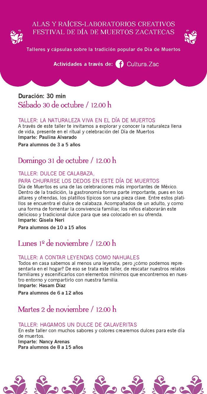 programa 6