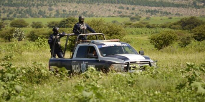 policia-estatal-fe3