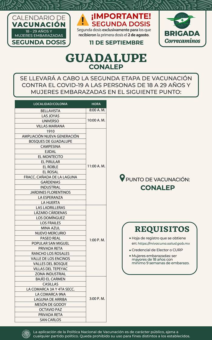 guadalupe1