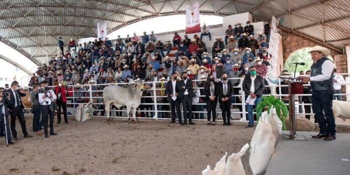 tianguis-ganadero-1-3c9