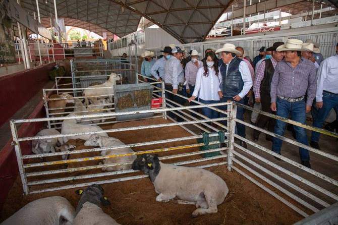 tianguis ganadero