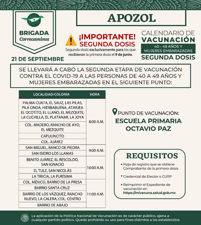 apozol