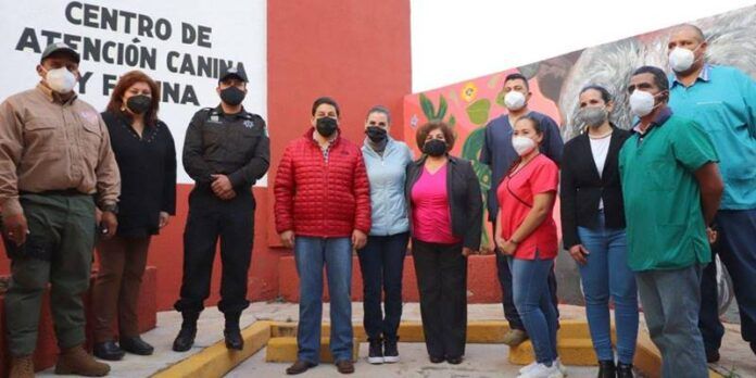 atencion_animal_2-609