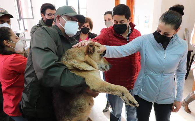 atencion animal 3