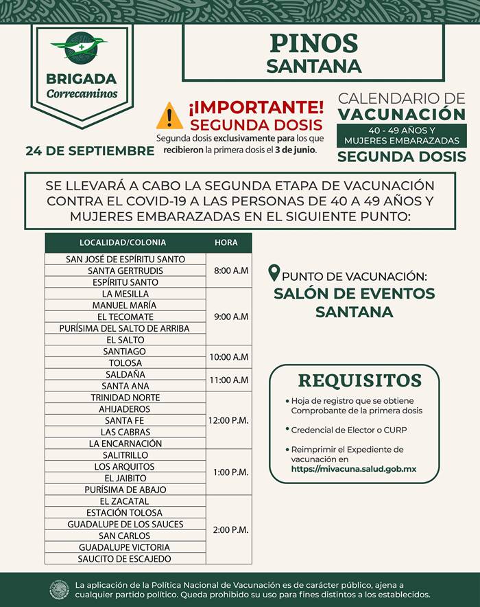 pinos 2