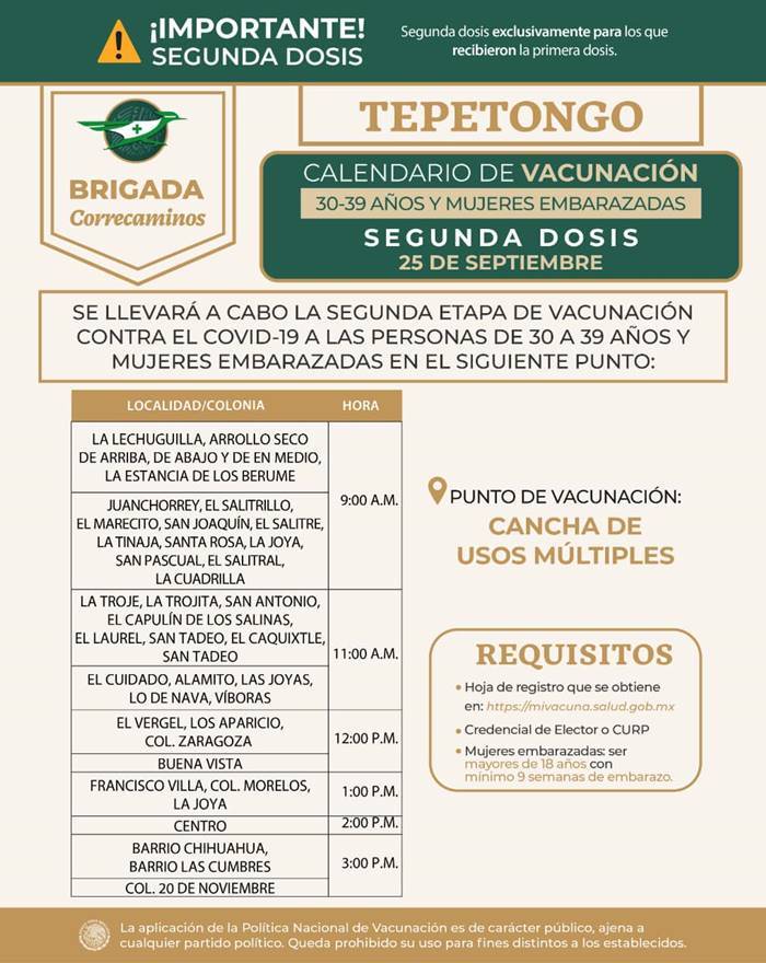 tepetongo1