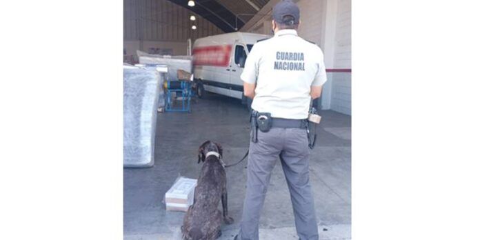 guardia_nacional-06d