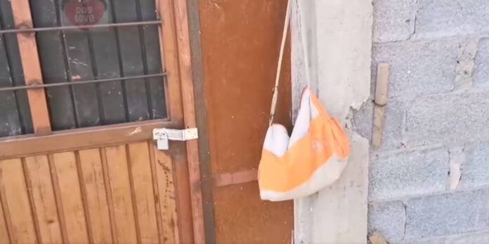 perritos_abandonados-4a3
