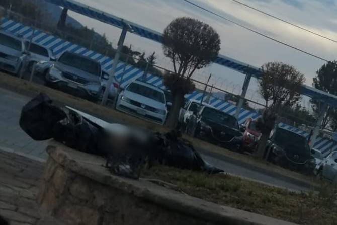 cabezas jerez 1