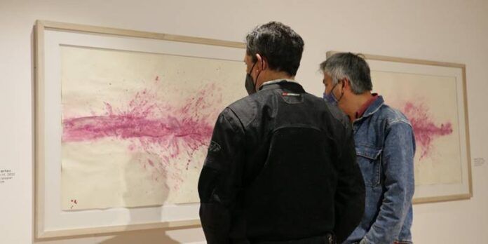 exposiciones-d41