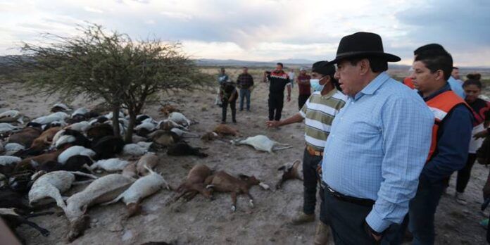 rio-grande-monreal-12e