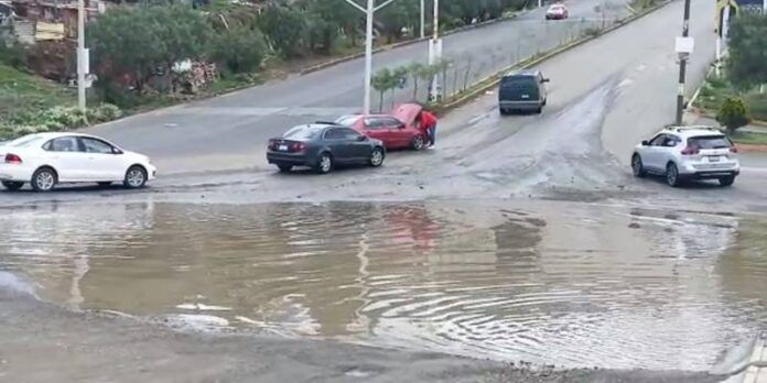 bache-07a